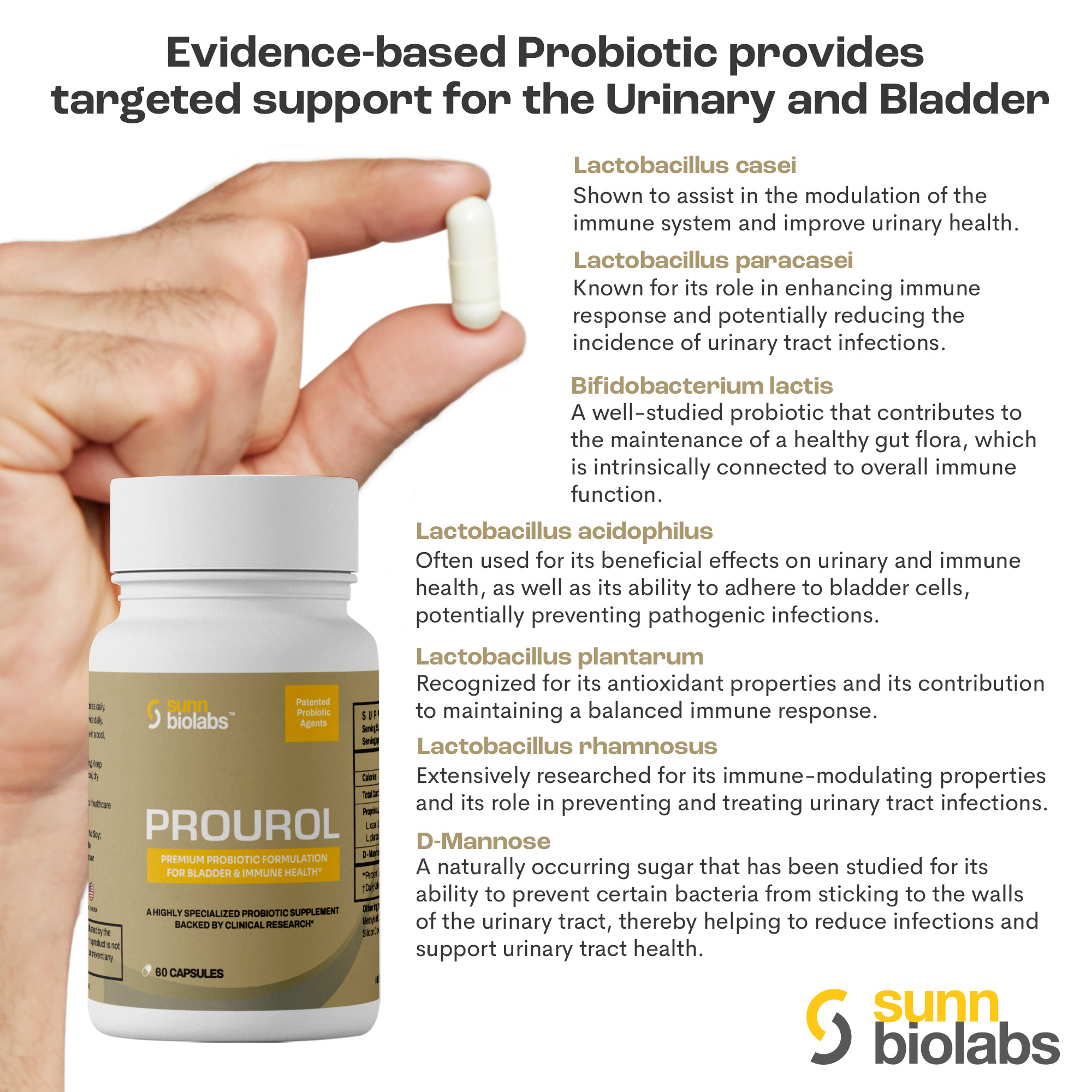 Bladder Probiotic Bladder Cancer | UTI | Probiotic | Prourol – Sunn Biolabs
